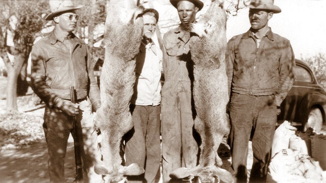 George, Grosspapa, Herman, and Roland after a successful hunt, 1942